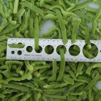 IQF Frozen Green Pepper slice