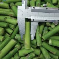IQF Frozen Green Asparagus cut
