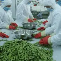IQF Frozen Edamame Bean