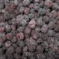 IQF Frozen Blackberry