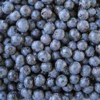 IQF Frozen Blueberry