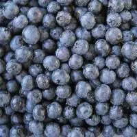 IQF Frozen Blueberry
