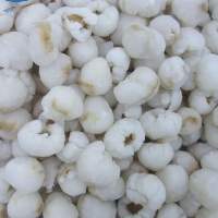 IQF Frozen Lychee Peeled