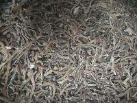 Frozen Black Fungus Strips