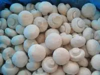 IQF Champignon Mushrooms Whole