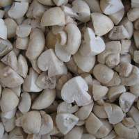 IQF Champignon Mushrooms Cuts