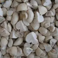 IQF Champignon Mushrooms Cuts