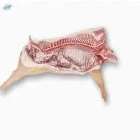 Frozen Pork Carcass