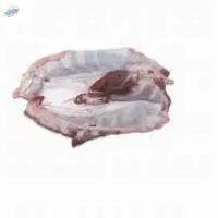 Frozen Pork Diaphragm
