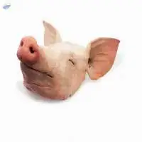 Frozen Pork Head