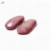 Frozen Pork Kidney
