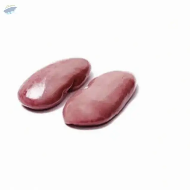 Frozen Pork Kidney