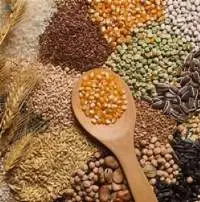 Grains & Beans: Wheat/Yellow Corn/Soyabean