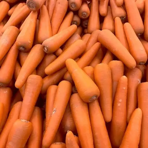 Carrots