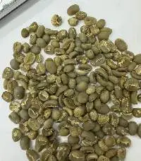 Arabica Sumatera Lintong Green Coffee Beans