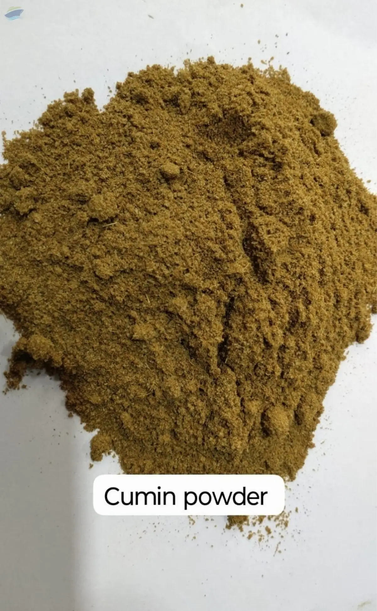 Cumin Powder