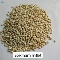 Sorghum Millet
