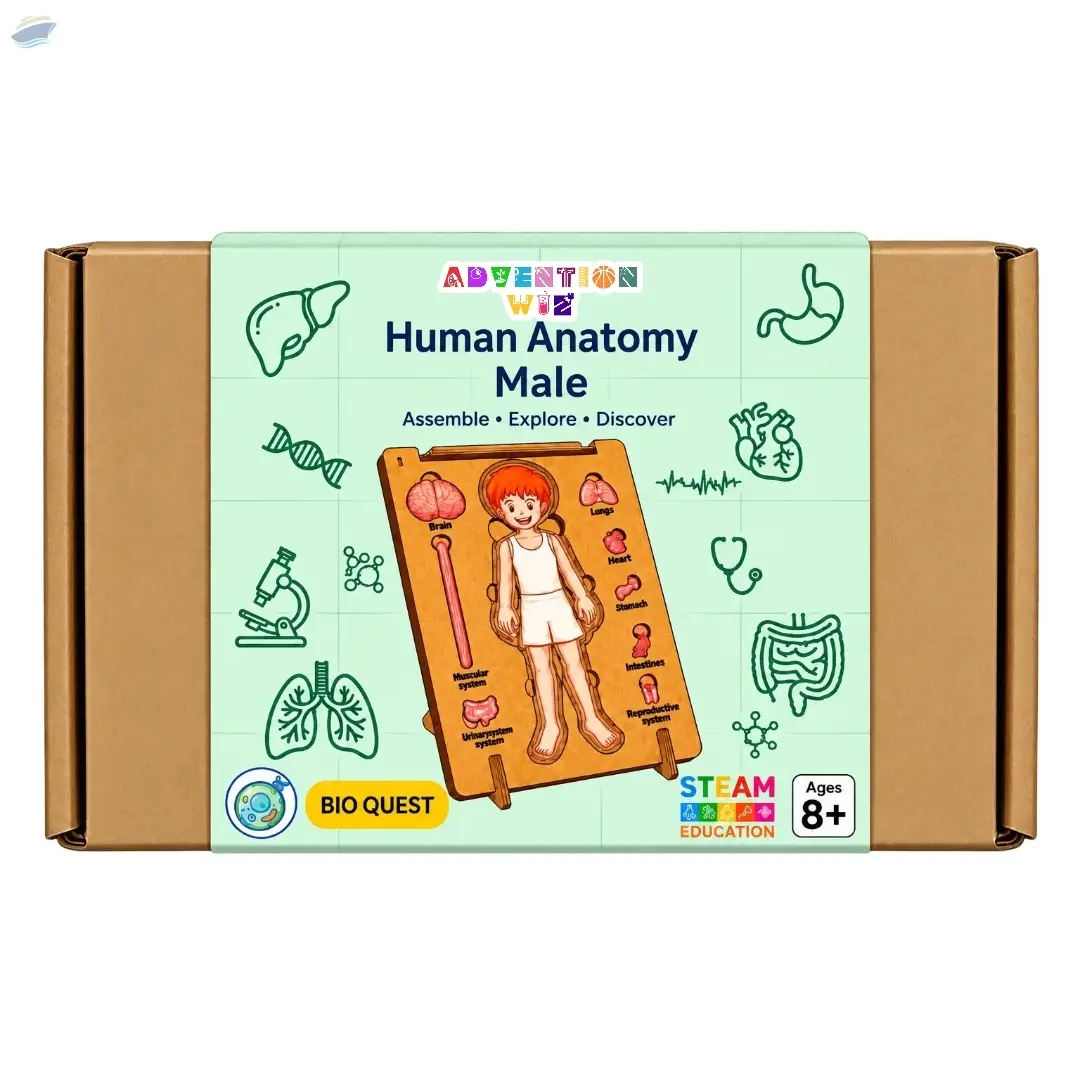 AdventionWiz Human Anatomy Male STEM Puzzle
