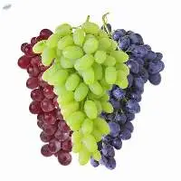 Grapes