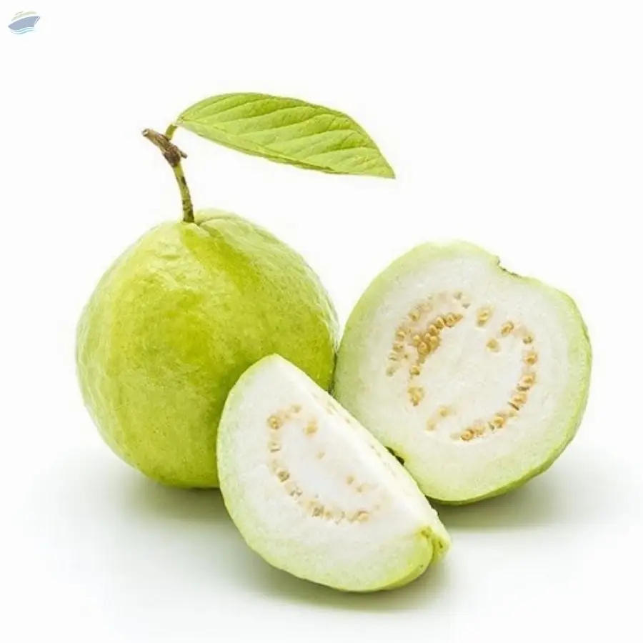 Guava