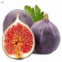 Fig