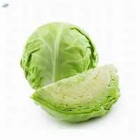 Cabbage