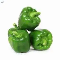 Capsicum
