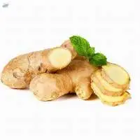 Ginger