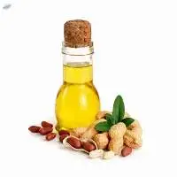 Groundnut Seed