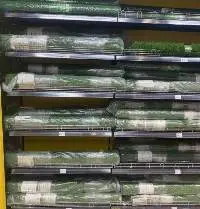 Landscape Grass DIY Vietnam