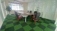 Artificial Grass Mat In The Room Vietnam