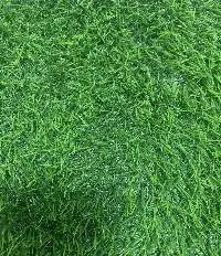 Landscape Artificial Grass Vietnam