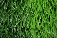 Artificial Grass Football Field Vietnam