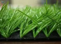 Artificial Grass Football Field Vietnam