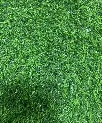 Landscape Artificial Grass Vietnam