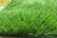 Landscape Artificial Grass Vietnam