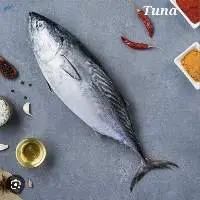 Tuna Fish