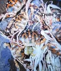 Crabs