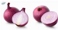Fresh Onion