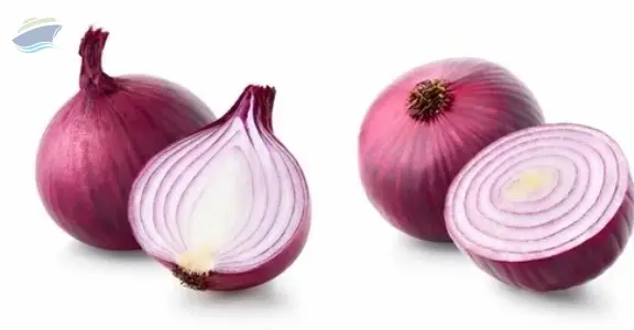 Fresh Onion