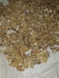 Frankincense Resin Boswellia Frereana Olibanum