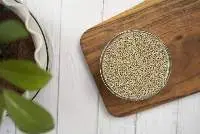 Pearl Millet (Bajra)