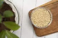 Sorghum Millet ( Jowar)