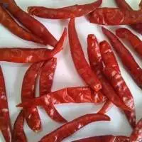 Teja Dry Red Chilli
