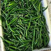 Green Chilli