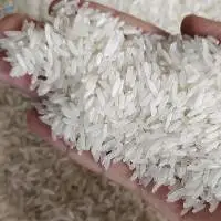 Premium Rice