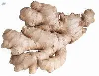 Fresh Ginger