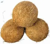 Coconut Semi Husked