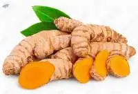 Fresh Turmeric