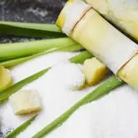Icumsa 45 Sugar (White Refined Sugar Cane)